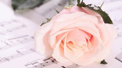 Roses Music sheet