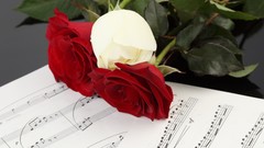 Roses musical notes