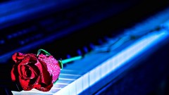 Roses piano