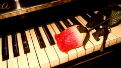 Roses piano