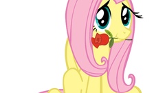 Roses ponies my little pony My Little Pony: Friendship is Magic 