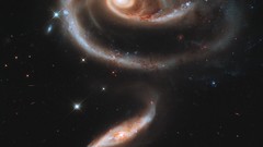 Roses spiral galaxy outer space