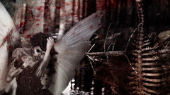 Rotting wings blood abstract