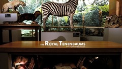 Royal tenenbaums Movies Movie