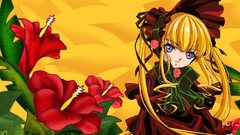 Rozen maiden Shinku Anime