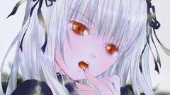 Rozen maiden suigintou Anime