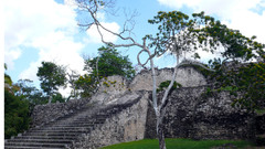 Ruins Maya high Costa Resolution