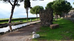 Ruins Rome street Italy roads antique italia roma Appia Antica