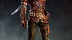 Rum the witcher the witcher 2 assassins of kings geralt of rivia