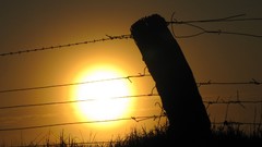 Rural fences farmland Sunrise Australia Farm