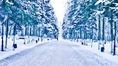 Russia cities Kaluga