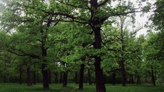 Russia cities Kaluga