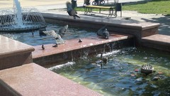 Russia cities Kaluga