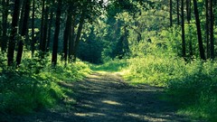 Russia cities Kaluga