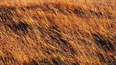 Russia cities Kaluga