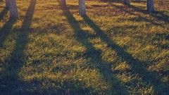 Russia cities Kaluga