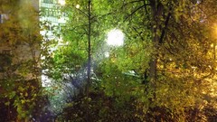 Russia cities Kaluga