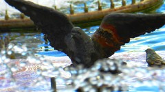 Russia cities Kaluga