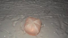 Russia cities Kaluga