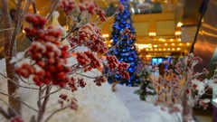 Russia cities Kaluga