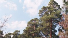 Russia cities Kaluga