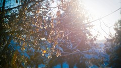 Russia cities Kaluga