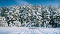 Russia cities Kaluga