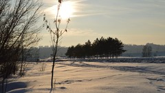 Russia cities Kaluga