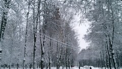 Russia cities Kaluga