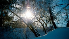 Russia cities Kaluga