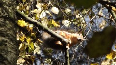 Russia cities Kaluga