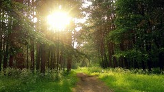 Russia cities Kaluga