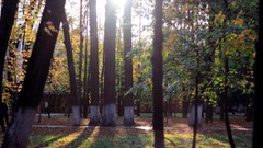 Russia cities Kaluga