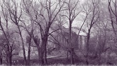 Russia cities Kaluga