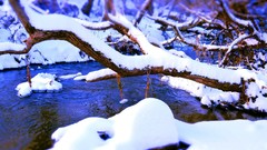 Russia cities Kaluga