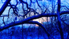 Russia cities Kaluga