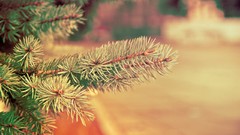 Russia cities Kaluga