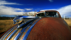 Rust old cars