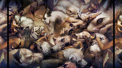 Ryohei hase blood Animals