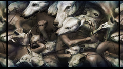 Ryohei hase Dogs Wolves