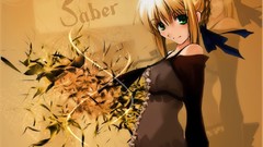 Saber anime girls fate stay night fate series