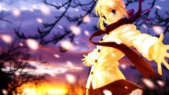 Saber anime girls fate stay night fate series