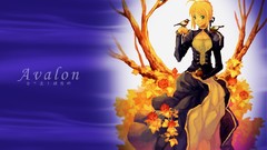 Saber anime girls fate stay night fate series