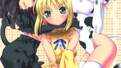 Saber anime girls nekomimi matou sakura tohsaka rin fate series 