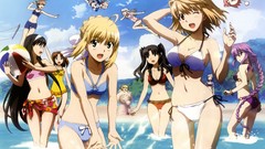 Saber ciel phantomhive arcueid brunestud tohno akiha tohsaka 