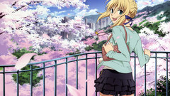 Saber fate series fate