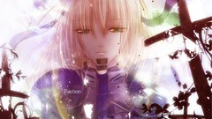 Saber fate stay night fate zero fate series