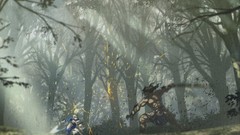 Saber fate stay night forests berserker fate series Berserker 