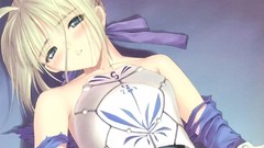 Saber fate stay night tony taka fate series