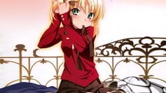 Saber fate zero fate series